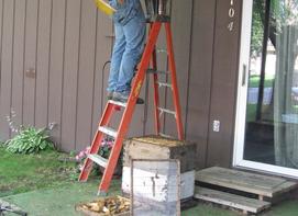 The hive bodies in which the combs of brood and bees were placed.  Very little sraps of comb with nothing (brood or honey) in them.