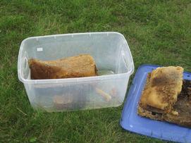 Combs with honey that were removed.  A small amount of capped brood is visible which was drones.  Any combs with worker brood were saved with bees on them.  The honey on these combs was all salvaged.